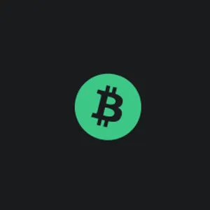 Coinbase Payments icon