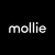 Mollie Payments icon